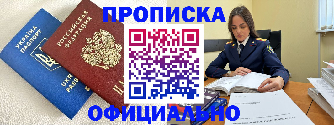 прописка поиск в Курске
